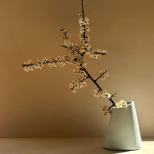 Load image into Gallery viewer, Angle Vase Miami Blue (New)