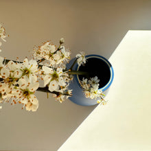 Load image into Gallery viewer, Angle Vase Blue City Blue (New)