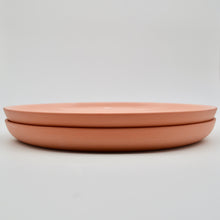 Load image into Gallery viewer, Dinner Plate Earthy Tone
