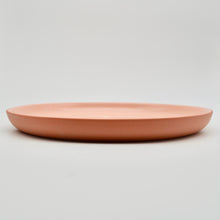Load image into Gallery viewer, Dinner Plate Earthy Tone