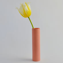 Load image into Gallery viewer, Stem Vase Siena Pink (New)