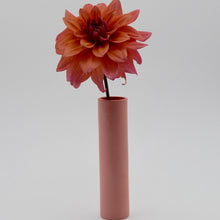 Load image into Gallery viewer, Stem Vase Miami Pink