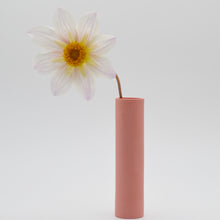 Load image into Gallery viewer, Stem Vase Miami Pink
