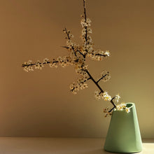 Load image into Gallery viewer, Angle Vase Miami Green (New)

