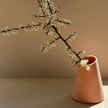Load image into Gallery viewer, Angle Vase Siena Pink (New)
