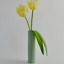 Load image into Gallery viewer, Coloured Striped Vase Miami Green (New)
