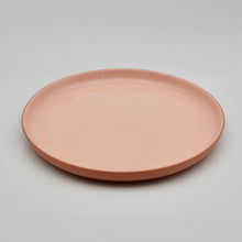 Load image into Gallery viewer, Dinner Plate Earthy Tone
