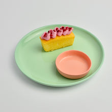 Load image into Gallery viewer, Small Plate (New)
