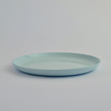 Load image into Gallery viewer, Small Plate (New)
